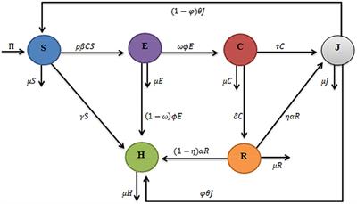 A mathematical analysis of the corruption dynamics model with optimal control strategy